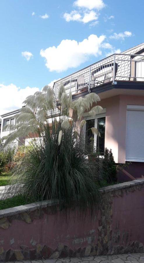 Villa Jasmina